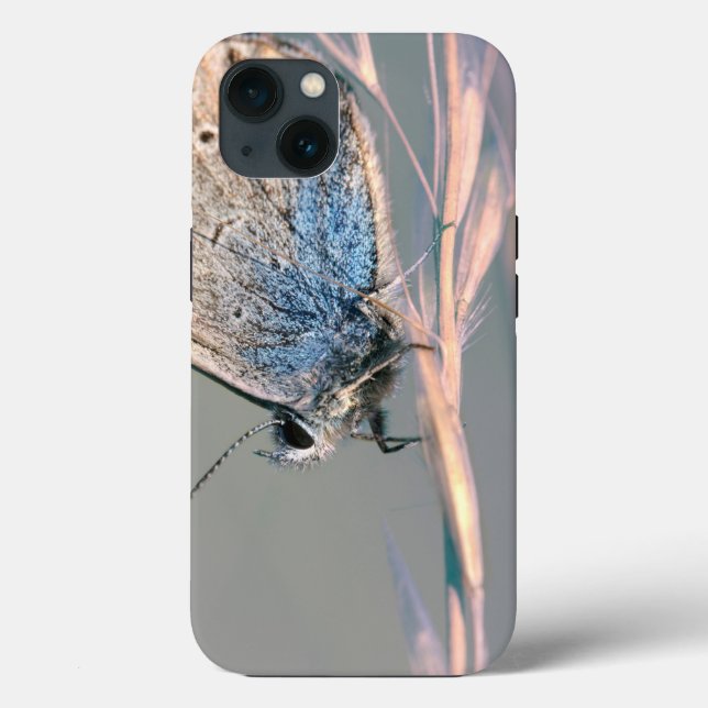 Fodral-Mate Tuff Apple iPhone 13 Fodral (Baksida)