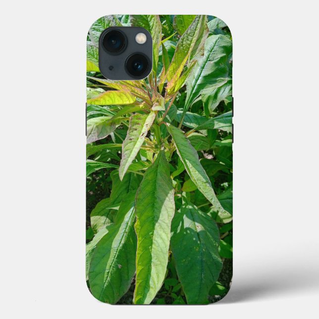 Fodral-Mate Tuff Apple iPhone 13 Fodral (Baksida)