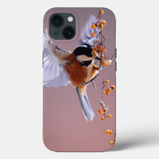 Fodral-Mate Tuff Apple iPhone 13 Fodral (Baksida)
