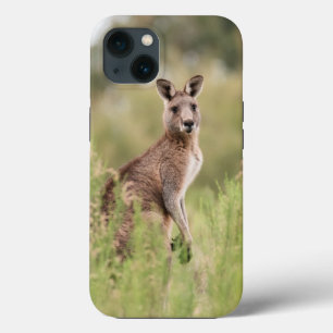 Fodral-Mate Tuff Apple iPhone 13 Fodral