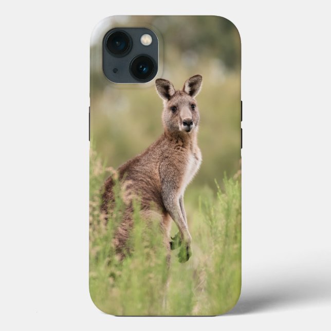 Fodral-Mate Tuff Apple iPhone 13 Fodral (Baksida)