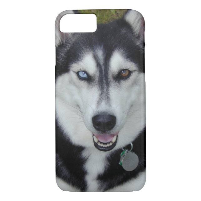 fodralsiberian husky för iPhone 7 Case-Mate iPhone Skal (Baksida)