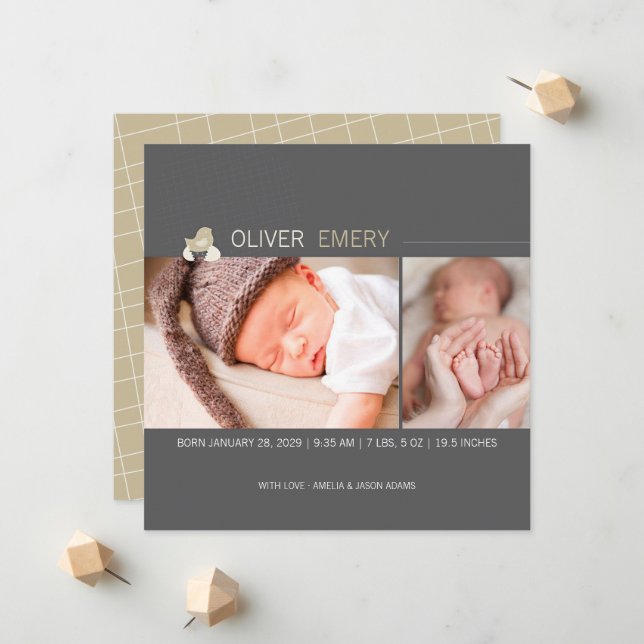 Födselannons för kläckt äggbaby kyckling foto meddelande (Fram/Back In Situ)