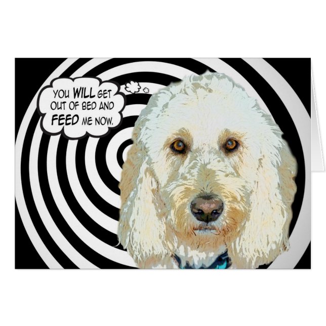 Foeed Meee! OBS Kort (Framsidan Horizontal)