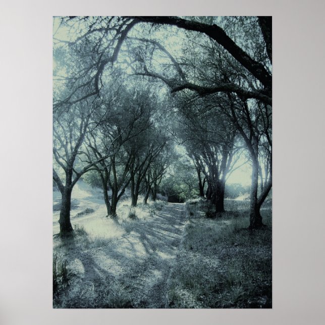 Fog av Dawn Poster (Framsidan)