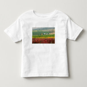 Fog-kräppor över Gehring Brothers Winery nestled T-shirt