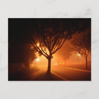 Fog Mysemination Träd Vykort