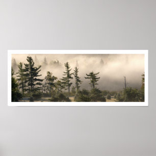 Fog och barer på morgonen poster