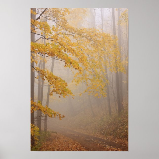 Fog- och höstblad, Underbara rökiga berg Poster (Framsidan)