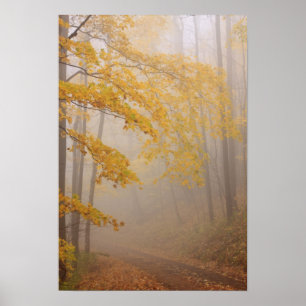 Fog- och höstlöv, Underbarare rökiga berg Poster