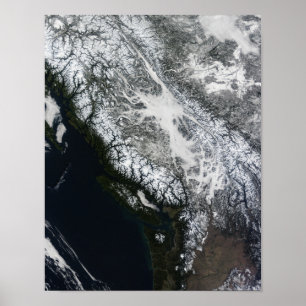 Fog och snö i British Columbia Poster
