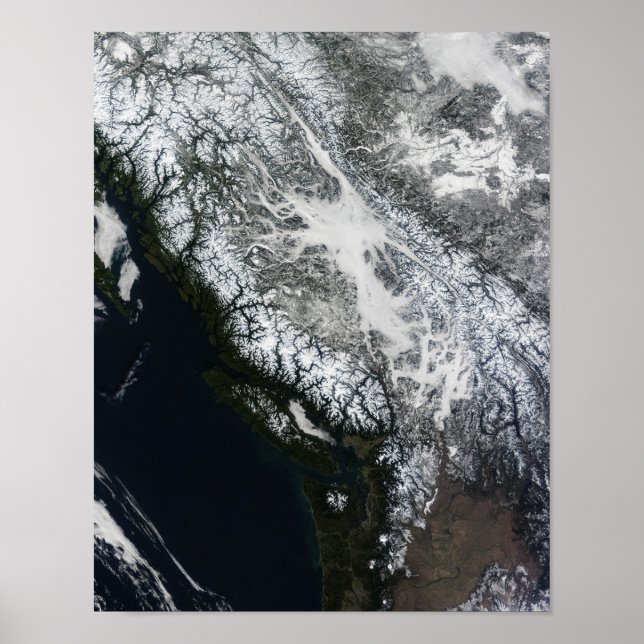 Fog och snö i British Columbia Poster (Framsidan)