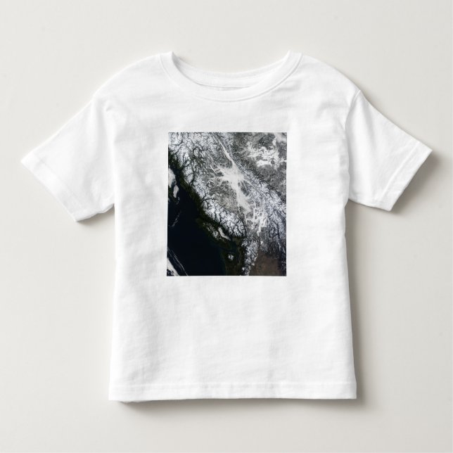Fog och snö i British Columbia T Shirt (Framsida)