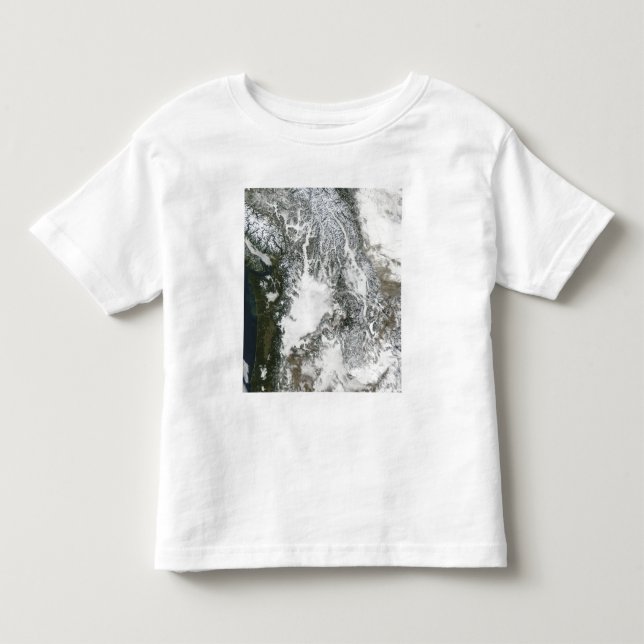 Fog och snö i Stillahavsområdet nordväst (sant kol T-shirt (Framsida)
