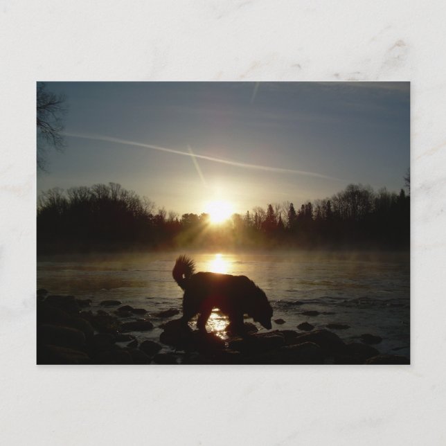 Fog över Mississippi River Vykort (Framsida)