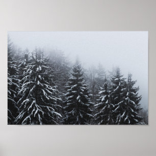 Fog över snö täckt grisskog på vintern poster