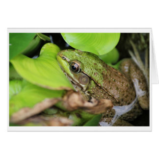 Fog Pince - PIN Hälsningskort