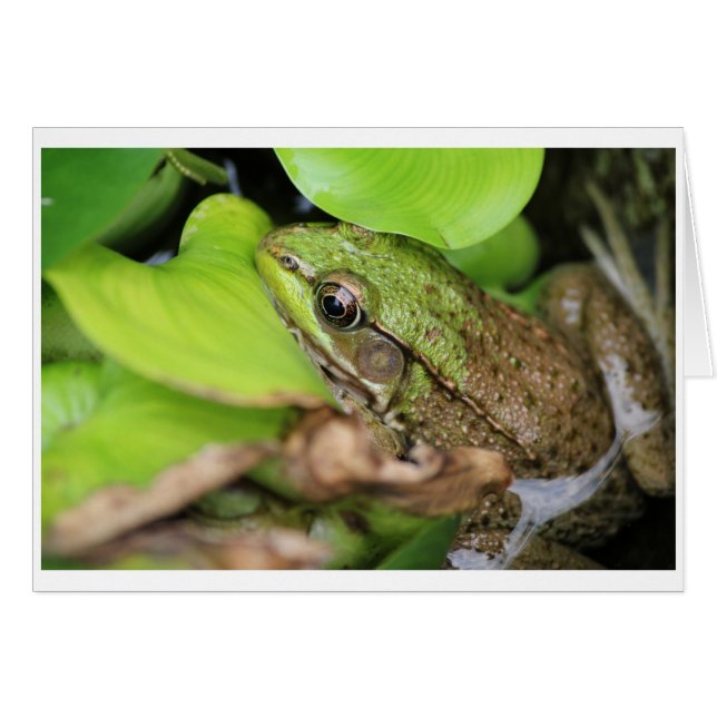 Fog Pince - PIN Hälsningskort (Framsidan Horizontal)