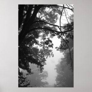 Fog Poster