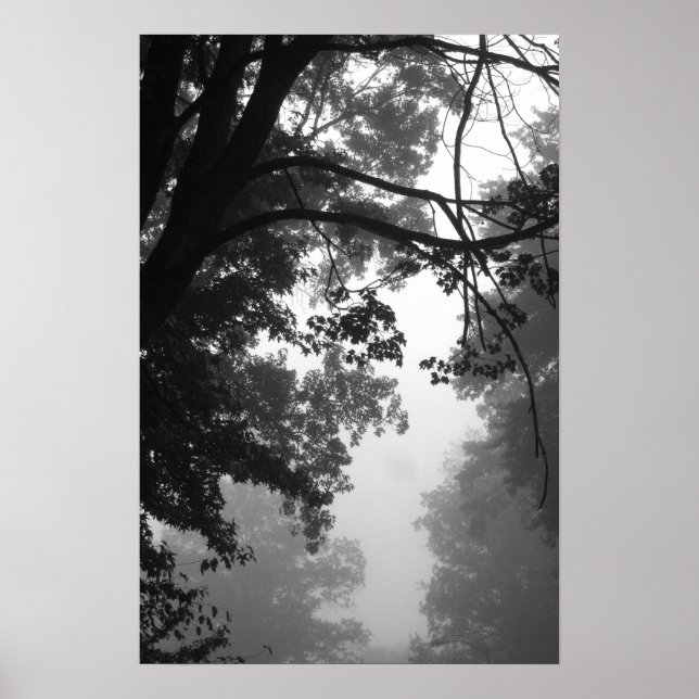 Fog Poster (Framsidan)