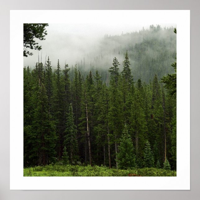 Fog Poster (Framsidan)