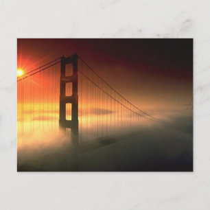 Fog Shrouded Golden Grind Vykort