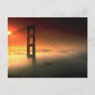 Fog Shrouded Golden Grind Vykort
