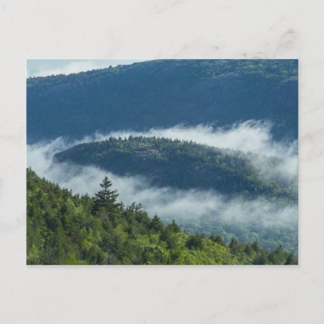 Fog Streaming by Connors Nubble, Acadia NP, Maine Vykort (Framsida)