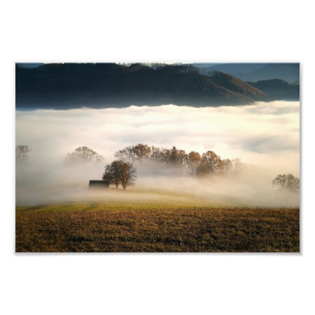 Fog täckt Shack i ängen Fototryck (Framsidan)