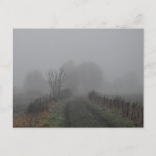 Fog Vykort