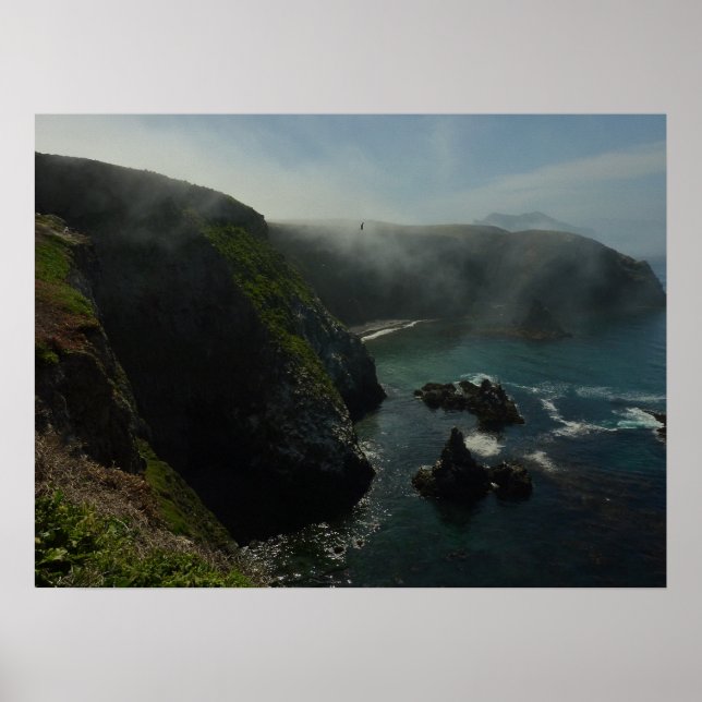 Foggy Anacapa Island vid Kanalöarna Poster (Framsidan)