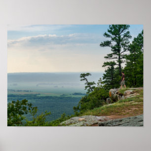 Foggy at Petit Jean Poster