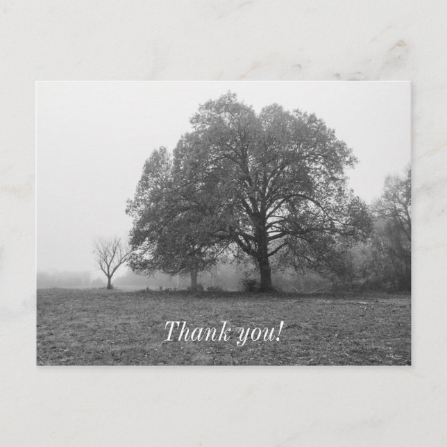 Foggy Autumn God Gråskala Vykort (Framsida)