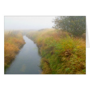 Foggy bäck 2 hälsningskort