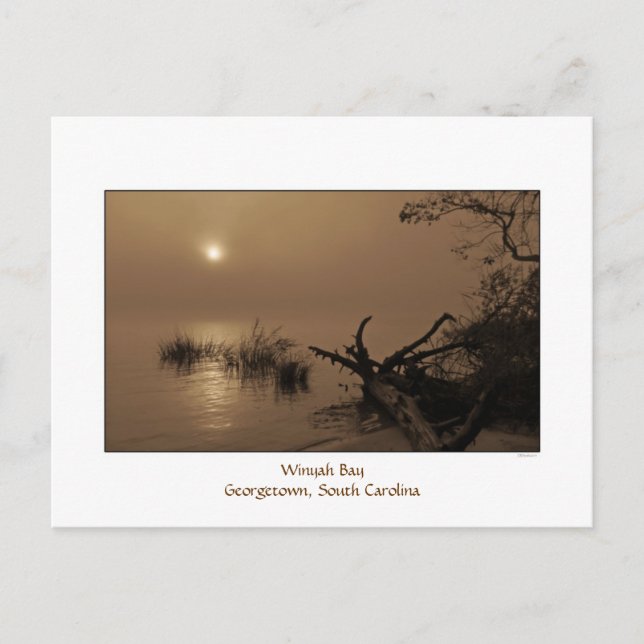 Foggy Bay Morgonvykort Vykort (Framsida)