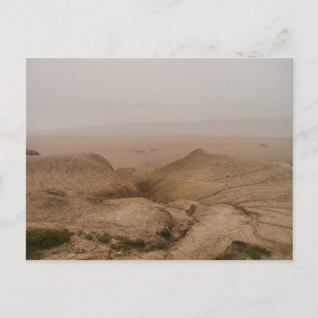 Foggy Beach Vykort (Framsida)