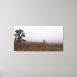 Foggy Big Meadows under Fall, Virginia Canvastryck