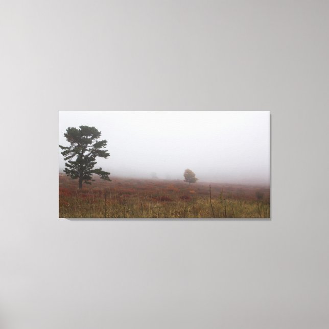 Foggy Big Meadows under Fall, Virginia Canvastryck (Framsida)