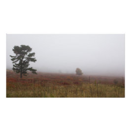 Foggy Big Meadows under Fall, Virginia Fototryck