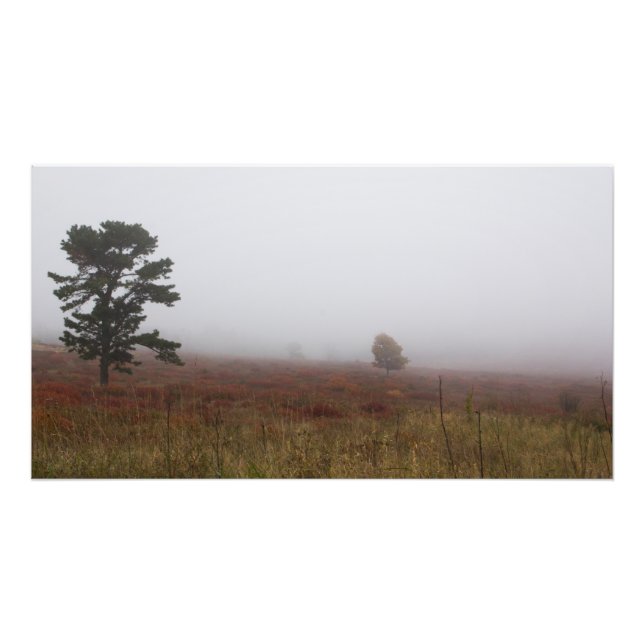 Foggy Big Meadows under Fall, Virginia Fototryck (Framsidan)