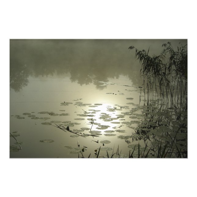 Foggy-dagen över sjö fototryck (Framsidan)