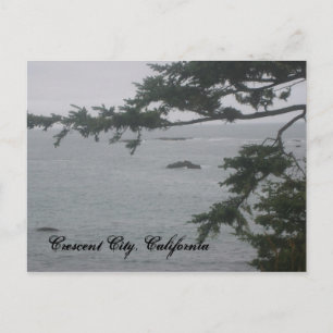Foggy Day in Crescent City Vykort