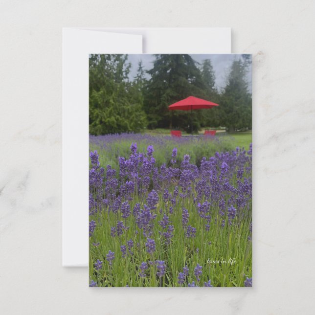 Foggy Day, Lavenders & Red Umbrella Anteckningskort (Framsida)