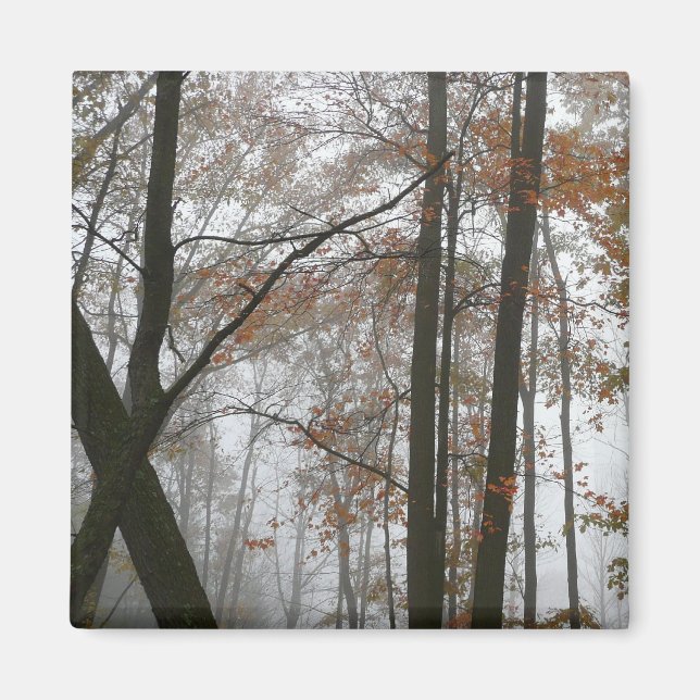 Foggy Fall in Pennsylvania Autumn Nature Magnet (Framsidan)