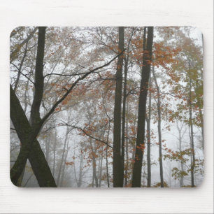 Foggy Fall in Pennsylvania Autumn Nature Musmatta