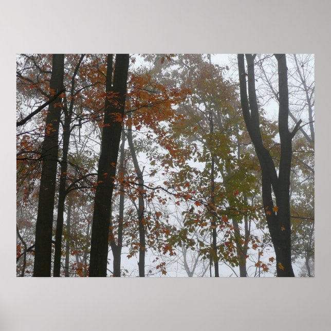 Foggy Fall in Pennsylvania Autumn Nature Poster (Framsidan)
