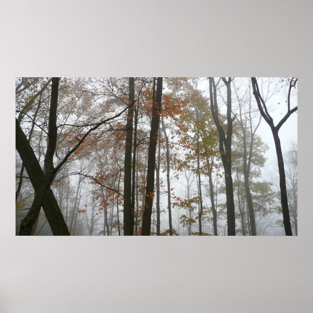 Foggy Fall in Pennsylvania Autumn Nature Poster (Framsidan)