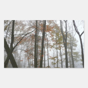 Foggy Fall in Pennsylvania Autumn Nature Rektangulärt Klistermärke