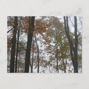Foggy Fall in Pennsylvania Autumn Nature Vykort