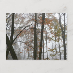 Foggy Fall in Pennsylvania Autumn Nature Vykort